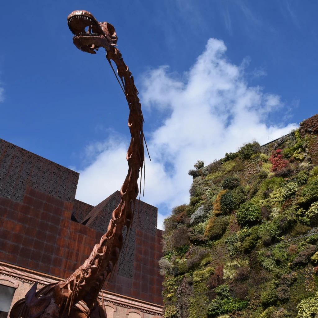 Dinosaurios de la Patagonia